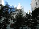 Pinkas Synagogue.JPG